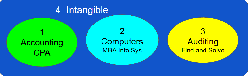 The four factors used to create ERP solutions: Accounting (CPA), Computers (MBA Info Sys), Auditing (Find and Solve), and Intangible.